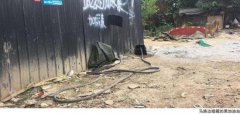 新都路边现黑加油站:油罐埋土里 老板