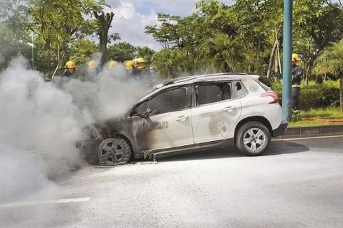 深圳一共享汽车路上突然自燃 现场无人员伤亡