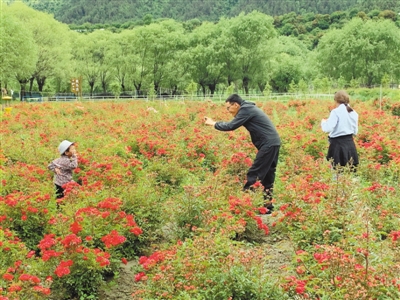 生态旅游 助力增收