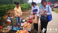 采桃、旅游、吃龙虾 全椒这个乡镇热闹
