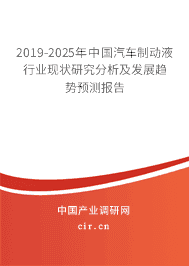 2019-2025年中国汽车制动液行业现状研究分析及发展趋势预测报告