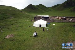 草原好“曼巴”守护牧民健康