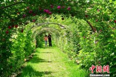 甘肃西峰乡村旅游“多点开花” 市民休