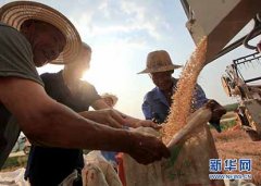 国际瑜伽日 瑜伽悦身心