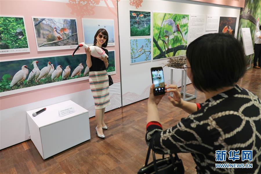 中国－日本系列人文交流活动在大阪举行