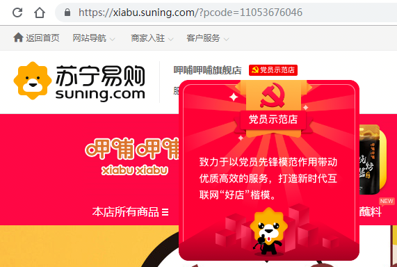 张近东：党建是民营企业健康发展的有力保障