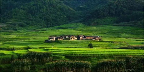 中国旅游新闻网：这个夏天，去云南腾冲原乡，