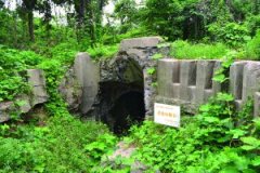 南京老虎山抗战炮台菜地被清文保标志