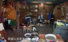 黄磊曝王迅父母大年三十遇车祸感叹人