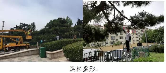 青岛市植物园细节升级 迎接旅游旺季的到来