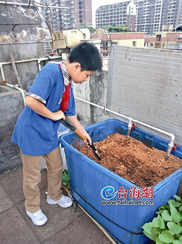 厦门小学生发明家用厨余垃圾处理装置 厨余垃圾也能种出美味有机菜（2）