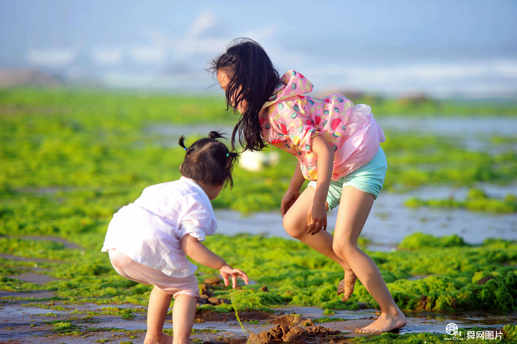 浒苔“袭”青岛 游客浒苔中游玩