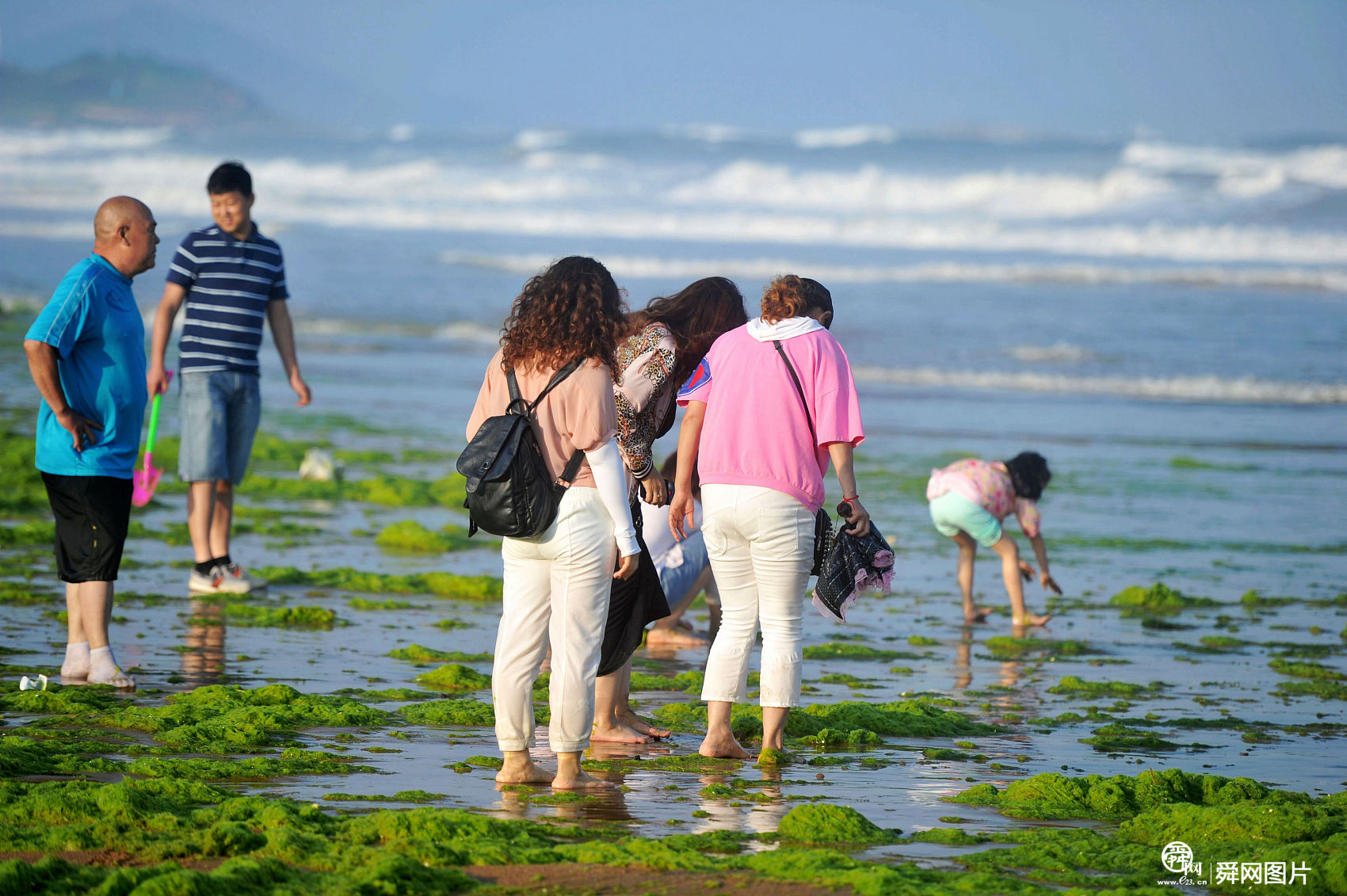 浒苔“袭”青岛 游客浒苔中游玩