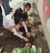 小学生走进小菜园和小苗一起成长