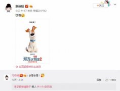 新鲜的狗粮到! 赵丽颖久违营业为冯绍