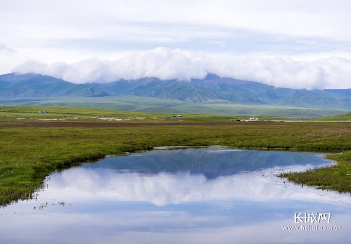 【新疆是个好地方】巴音布鲁克·西域仙境中美到窒息的五光十色