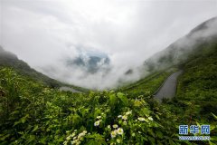 重庆推出83条夏季避暑纳凉精品旅游线路