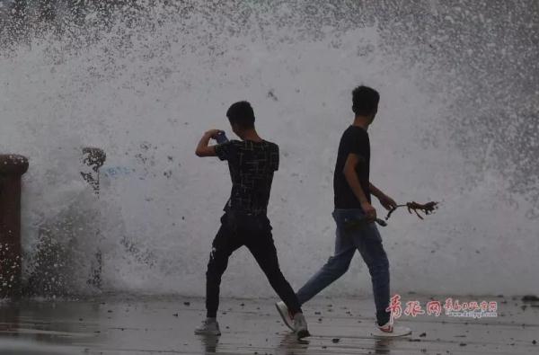 揪心！青岛海边上演惊险一幕！在海边游玩一定要警惕这些危险！