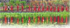 衡水大力推动全域休闲农业和乡村旅游