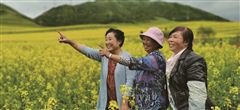 青沙山下万亩油菜花等你观赏