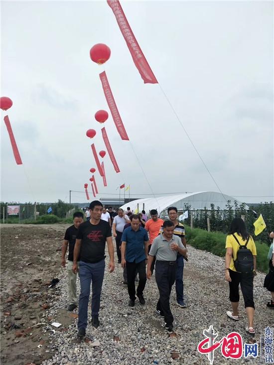 到丹阳大吕村采摘富硒梨 好吃好玩还有赠品拿