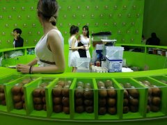 组图:进博会,带你品遍世界美食