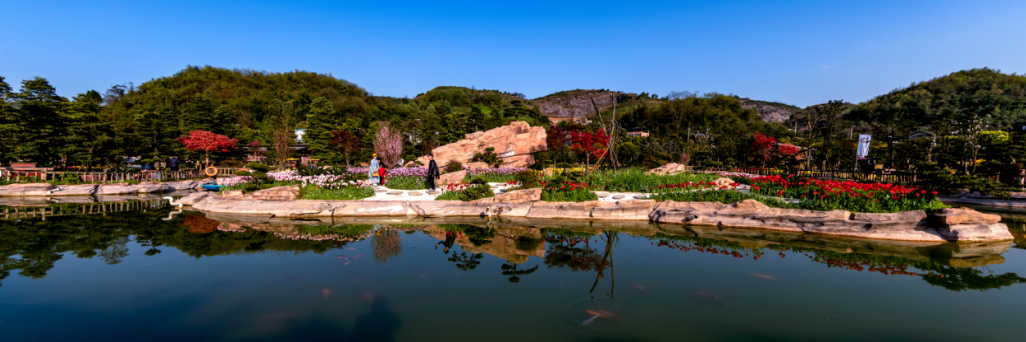 中国旅游新闻网：重庆市太寺垭森林公园与重庆