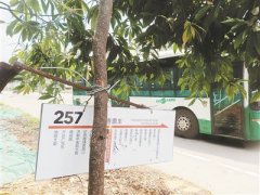 南昌市经开区多条道路无公交候车亭