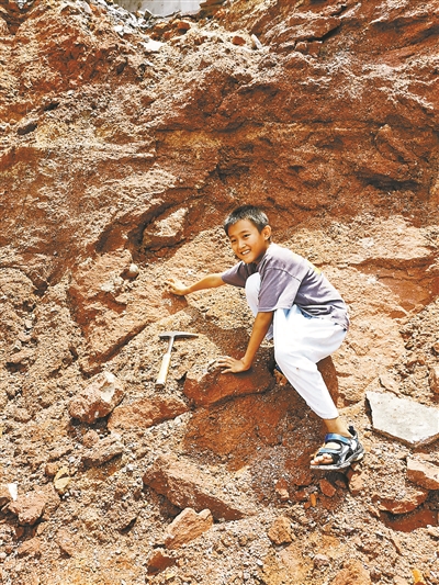 游玩时辨认出疑似化石 小学生发现