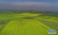 河北张家口:塞北夏日好风光
