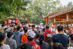 中国暑期旅游有多火,看看张家界就知