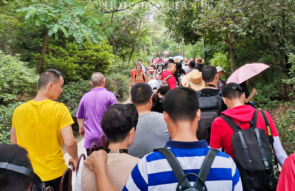 中国暑期旅游有多火，看看张家界就知道了，网