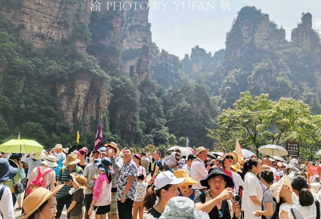 中国暑期旅游有多火，看看张家界就知道了，网