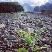 马蜂窝旅游网蜂首:旅游让我遇见自己