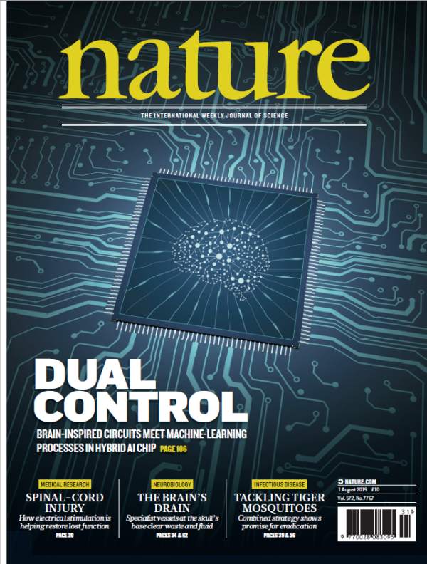 清华研发新型类脑计算芯片登《Nature》杂志封面