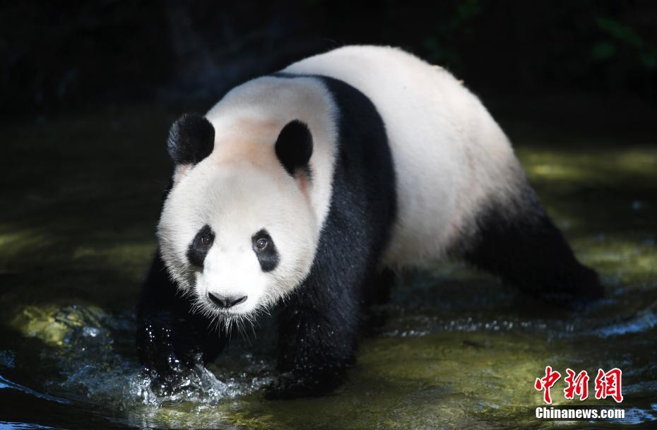 云南建水县与成都武侯区推动文化旅游合作