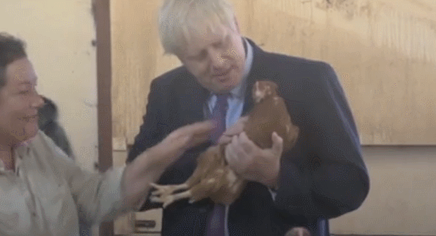 曾在演讲中掏出腌鱼的英国新首相，这次谈脱欧