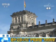 <b>德外交部:讨论如何参与英提议组建的</b>