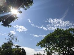 广东高温重返主场:未来几日最高温达