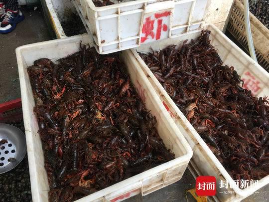 小龙虾的夏天：餐馆生意“滑铁卢” 行业或将经历洗牌