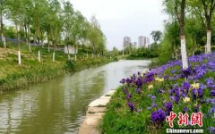 青海发布总河湖长令 维护“中华水塔”