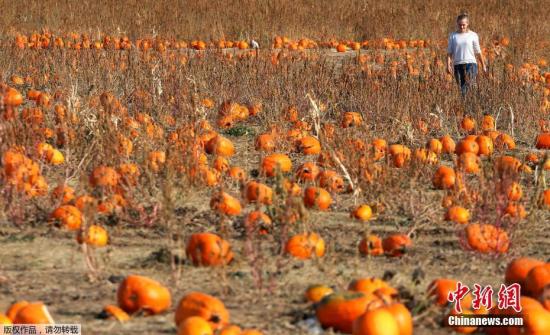 美国食物浪费严重！统计：每年丢弃约6000万吨农