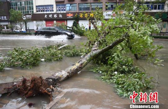 “利奇马”肆虐：浙南小城一片狼藉 雨量监测点