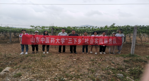 “调研山东”纪实观察|中医药健康旅游开启新时代