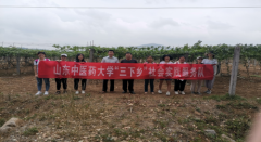 “调研山东”纪实观察|中医药健康旅游