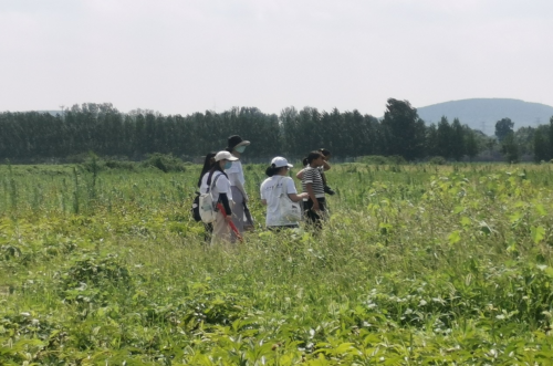 “调研山东”纪实观察|中医药健康旅游开启新时代