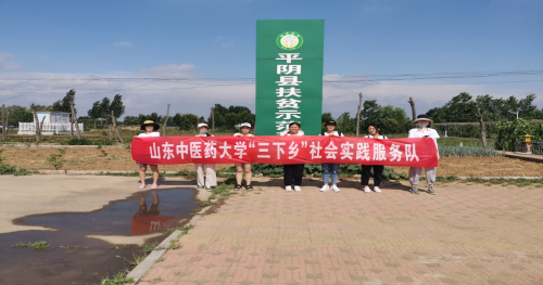 “调研山东”纪实观察|中医药健康旅游开启新时代