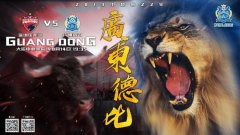 深足VS富力首发:普雷西多亚替补 扎哈维