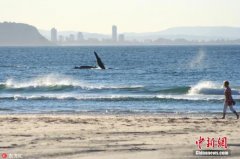 旅游业促进澳黄金海岸发展 提供4.2万个
