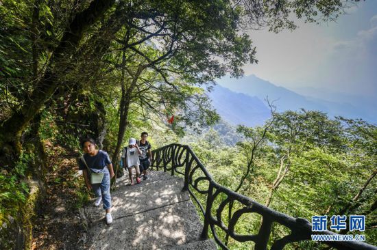 （美丽中国）（2）重庆金佛山：喀斯特地貌显奇观